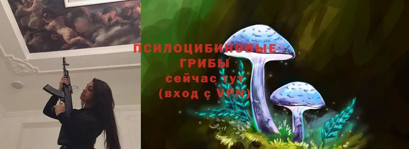 Галлюциногенные грибы мицелий Уяр