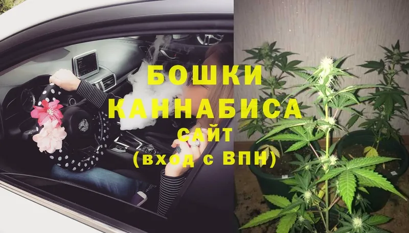 МАРИХУАНА SATIVA & INDICA  закладка  Уяр 